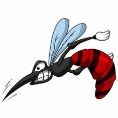 mad mosquito