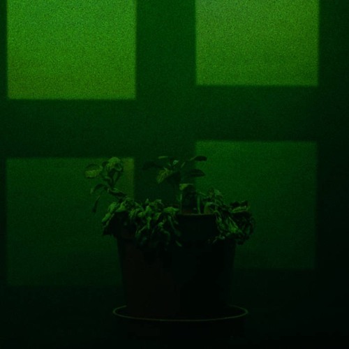 Polymorphic (Remix) feat. Cholly