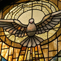 Doves In the Rafters