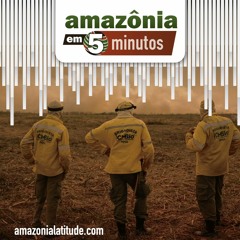 Amazônia em 5 minutos: narcotráfico no Equador e combate ao garimpo na TI Yanomami