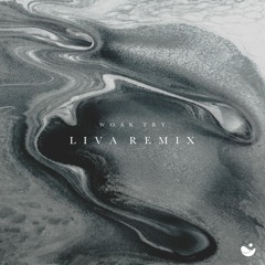 WOAK - Try (LIVA Remix)