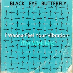 I Wanna Feel Your Vibration  ( The Wink Mix) - Black Eye Butterfly