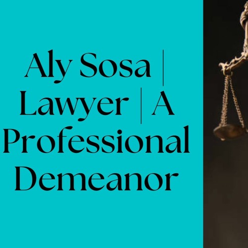Lawyer | A Professional Demeanor
