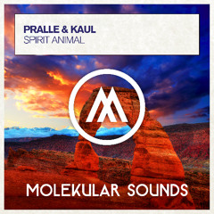 Pralle & Kaul - Spirit Animal
