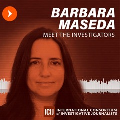 Meet the Investigators: Barbara Maseda