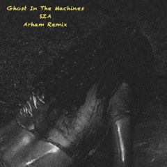 Ghost in the Machine (Arham Remix)