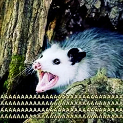 Brëllen wei e Mellen