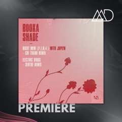 PREMIERE: Booka Shade, JOPLYN - Right Now (P.I.N. 4) (Chi Thanh Remix) [Blaufield Music]