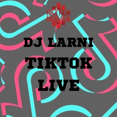 DJ LARNI TikTok Part 2 BASHMENT DANCEHALL 2022