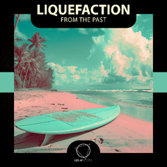 Liquefaction - Synthetic (Lizplay Records)