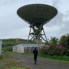 Nesting in an old antenna