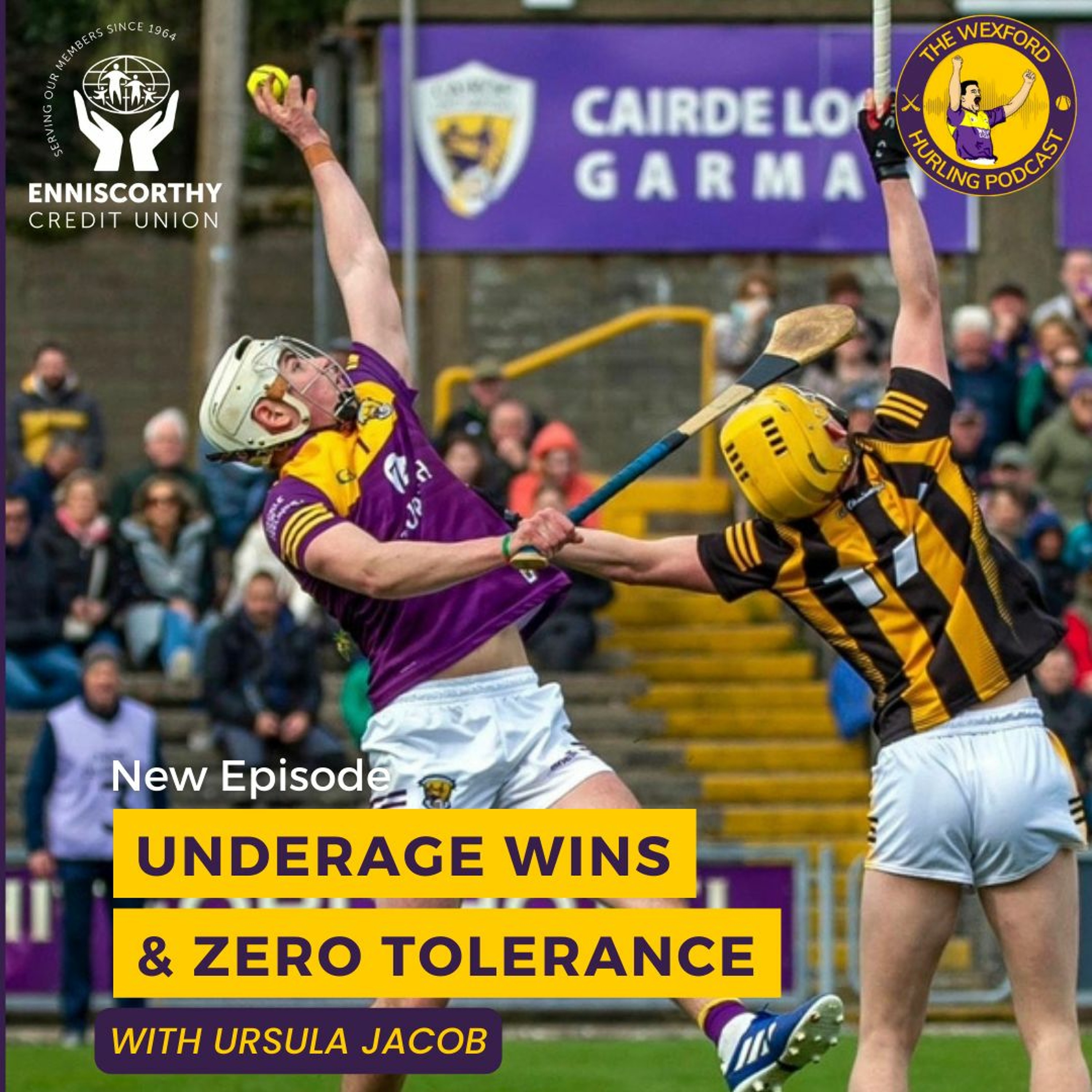 The Wexford Hurling Podcast