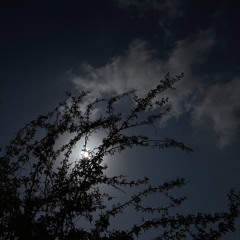 امانه لا تخليني ♡︎:فلاح المسردي