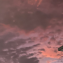 only love can hurt like this cover