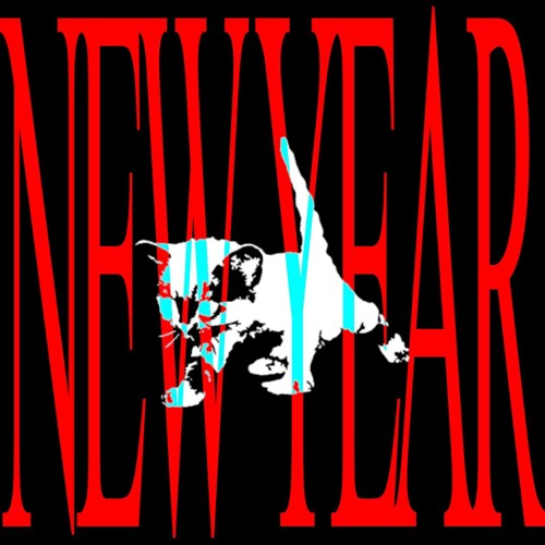 NEW YEAR ( HARDGROOVE/TRANCE DJ SET )