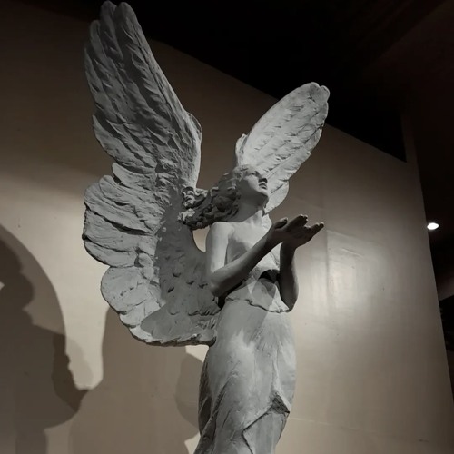 Prolly wont (prod Srvn)