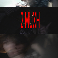 2 muxh