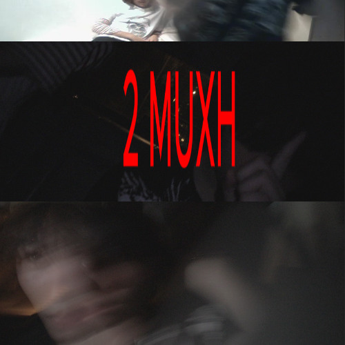 2 muxh