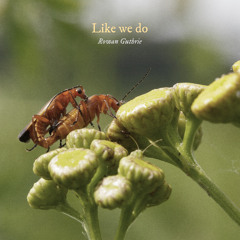 Like we do