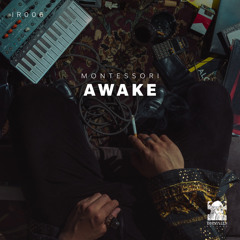 PREMIERE: Montessori - Awake Feat. FLXXX (Original Mix) [Innisfallen Records]