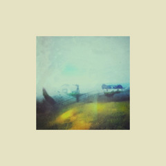 The First Daffodils of Spring