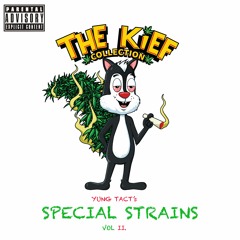 YUNG TACT's SPECIAL STRAINS Vol II