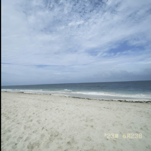 other side of the ocean - flyingfish