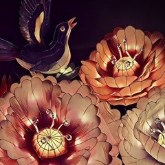 MELODIC HOUSE SUNSET