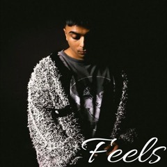 Feels Gurinder Gill