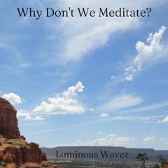 Why Don't We Meditate?