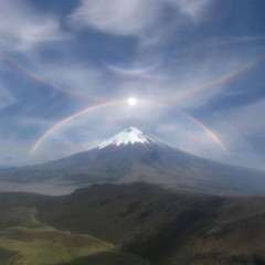 Jeb Returns From Mars