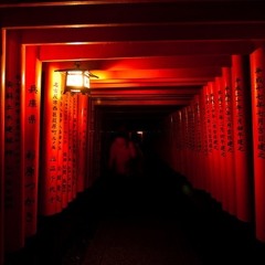 Walk @xtromarr on ig