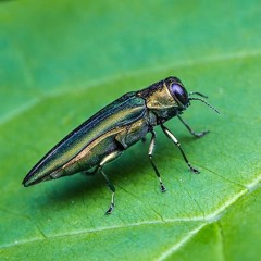 HK_Calm-&-Steady_tracks_50