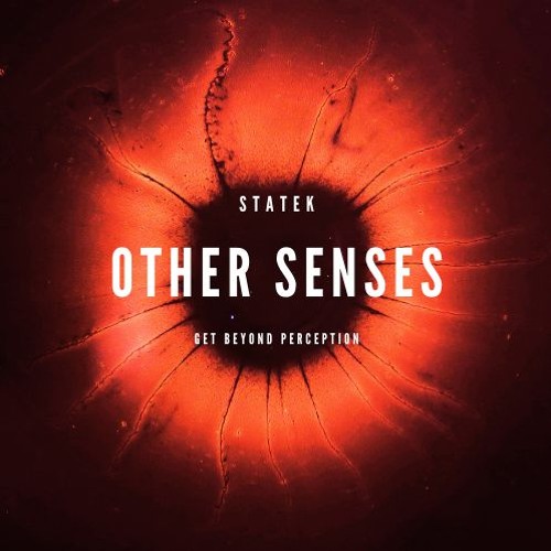 Other Senses