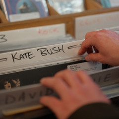 Kate Bush - Running Up That Hill  (Gregorius rework)