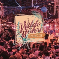 When Disco Goes Wrong / Högt I Tak @ Wilde Möhre Festival 20220730