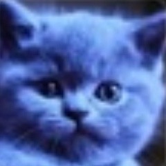 Crack¡ (@prod._chapo)