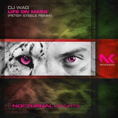 DJ Wag - Life On Mars (Peter Steele Remix) TEASER
