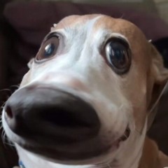 FORGET ABOUT HER - TUKI x Tin's x DOUBLE D.mp3