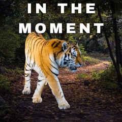 In the Moment