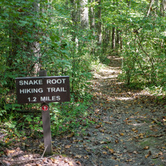 Johnson Ridge State Nature Preserve 9.1.25 12-39 PM