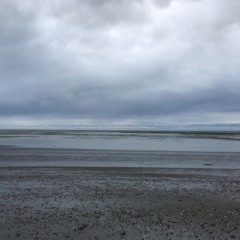 río grande - luna#80