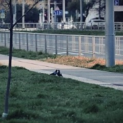 You've got a nice look in your eyes