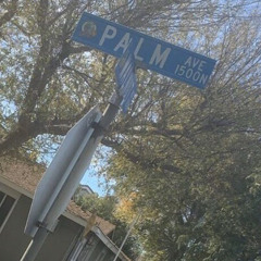 DownBad - BabyQuicc  x 1ne5ive