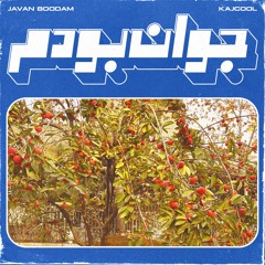 javan boodam