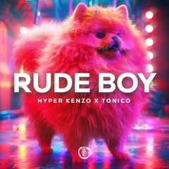 Rude Boy (Techno Remix) TIKTOK HYPERTECHNO VERSION