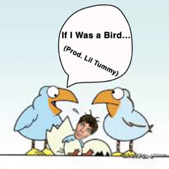 If I Was a Bird (prod. Lil Tummy)