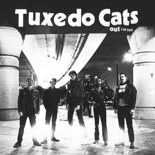 TUXEDO CATS "OUT THE BAG" E.P.