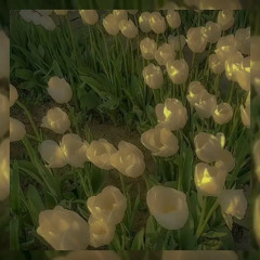 KRBK -  Крепче speed up