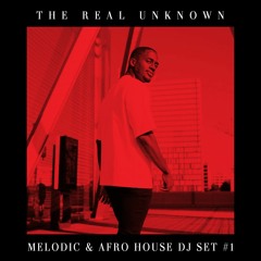 Melodic & Afro House DJ SET #1